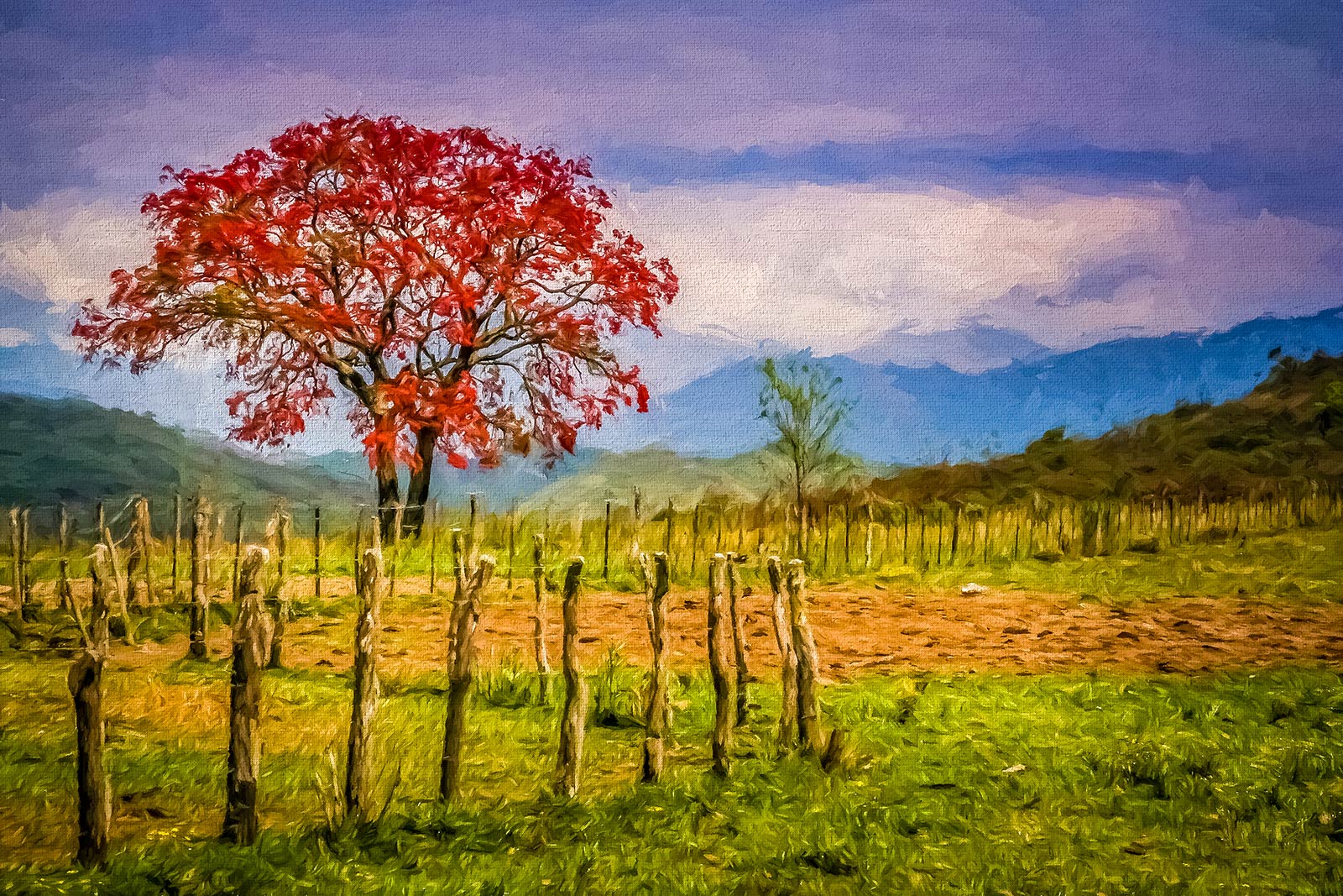 Shefali Ranthe | Kunst - Red Tree